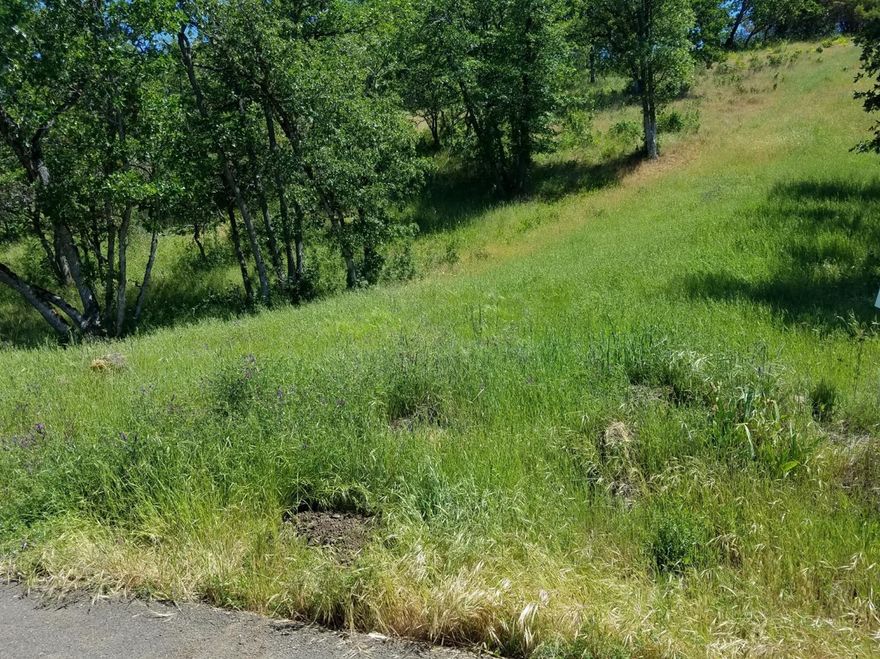 One of the last 2 lots available in Eagle Points, Eagle Ridge Subdivision. The gateway to the lakes! This .40 acre lot in Eagle Ridge subdivision is ready to build. Utilities are to the property line, and the CCR's have a minimum of 1700 with no Home Owners Association. This lot is the end of the street with tons of privacy.