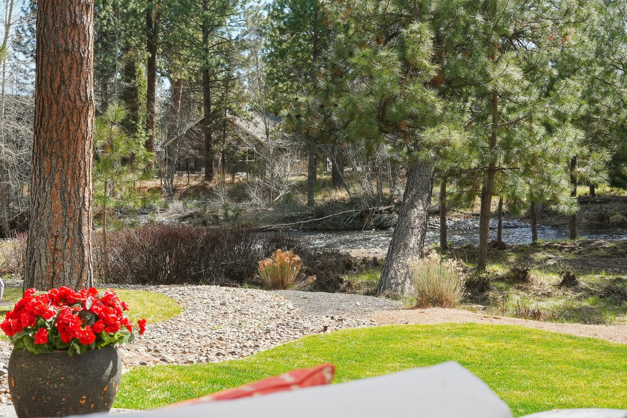 1041 E Timber Pine Drive