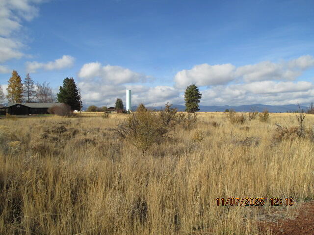 Oregon Shores - Land