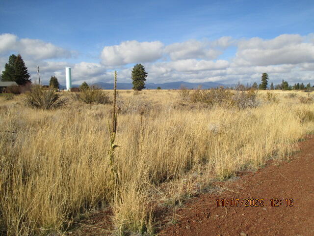 Oregon Shores - Land