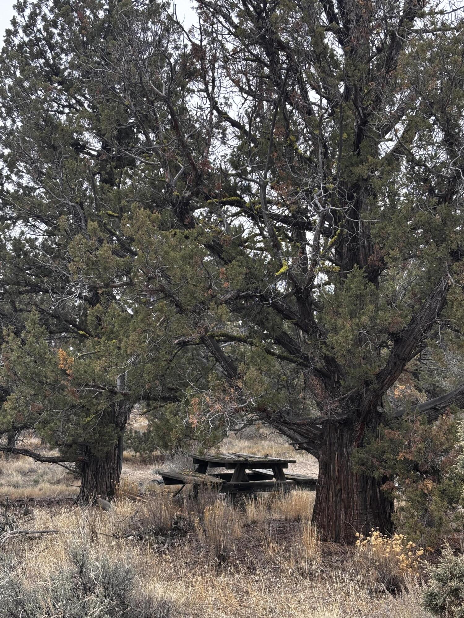 Prineville Lake Acres 2 - Land