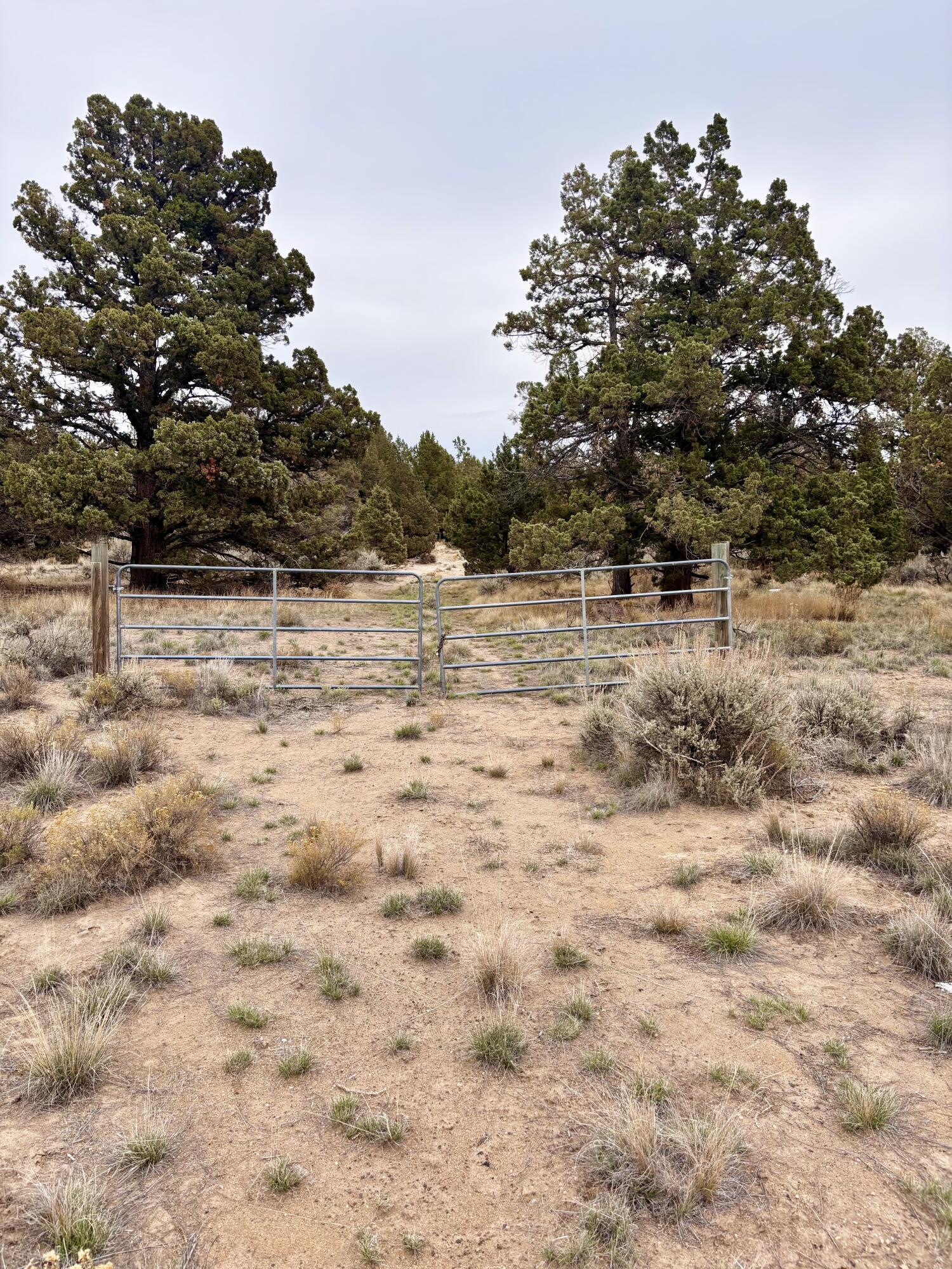 Prineville Lake Acres 2 - Land