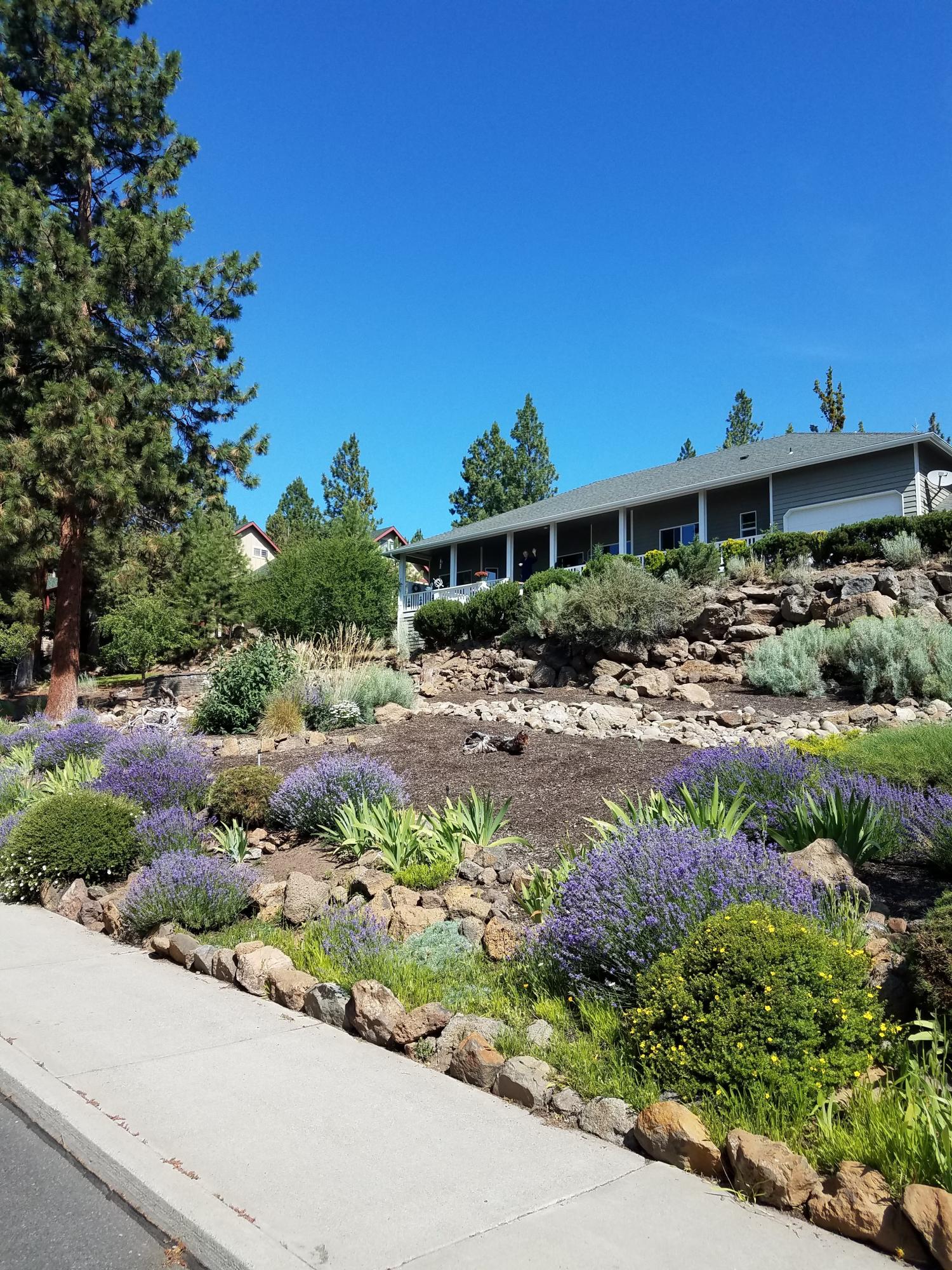 City View - Residential