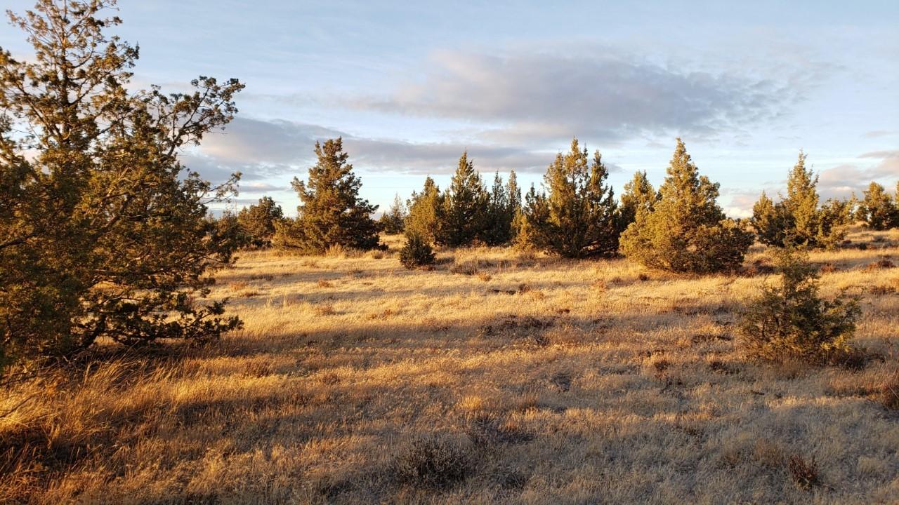 Ochoco Land + Livest - Land