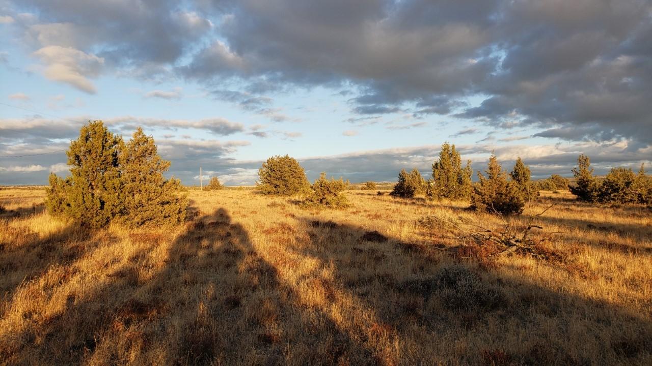 Ochoco Land + Livest - Land