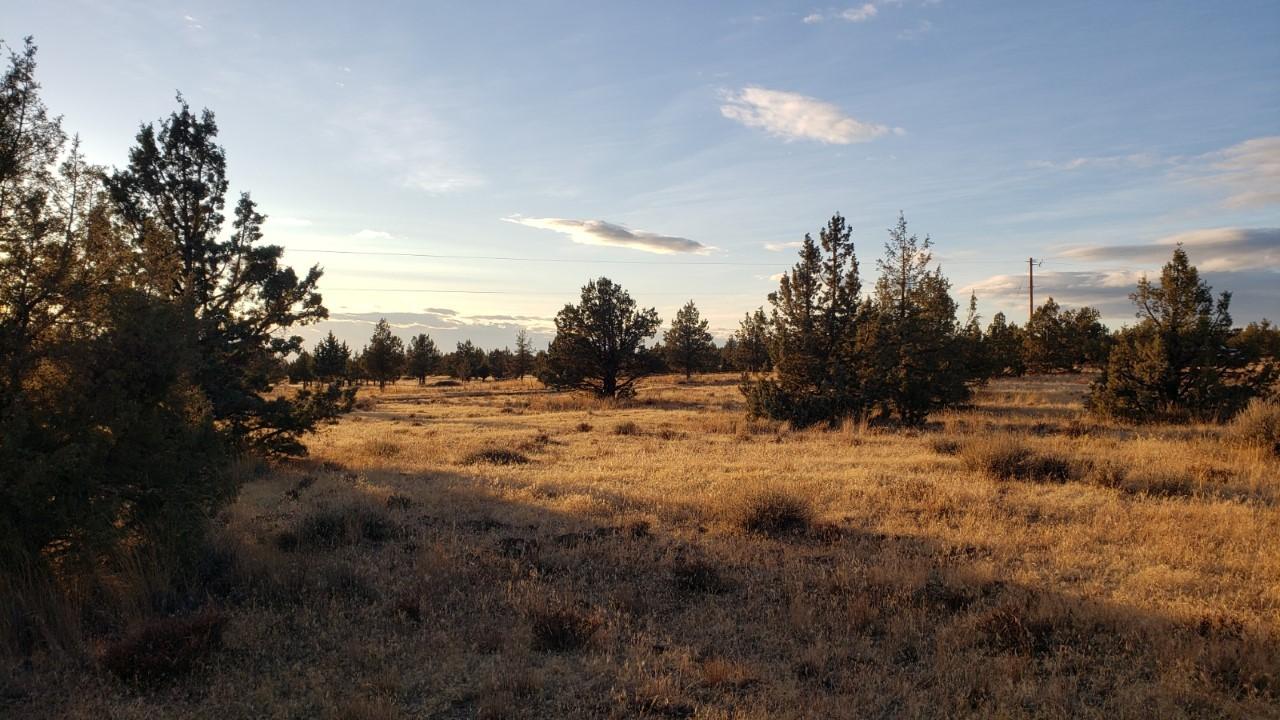 Ochoco Land + Livest - Land