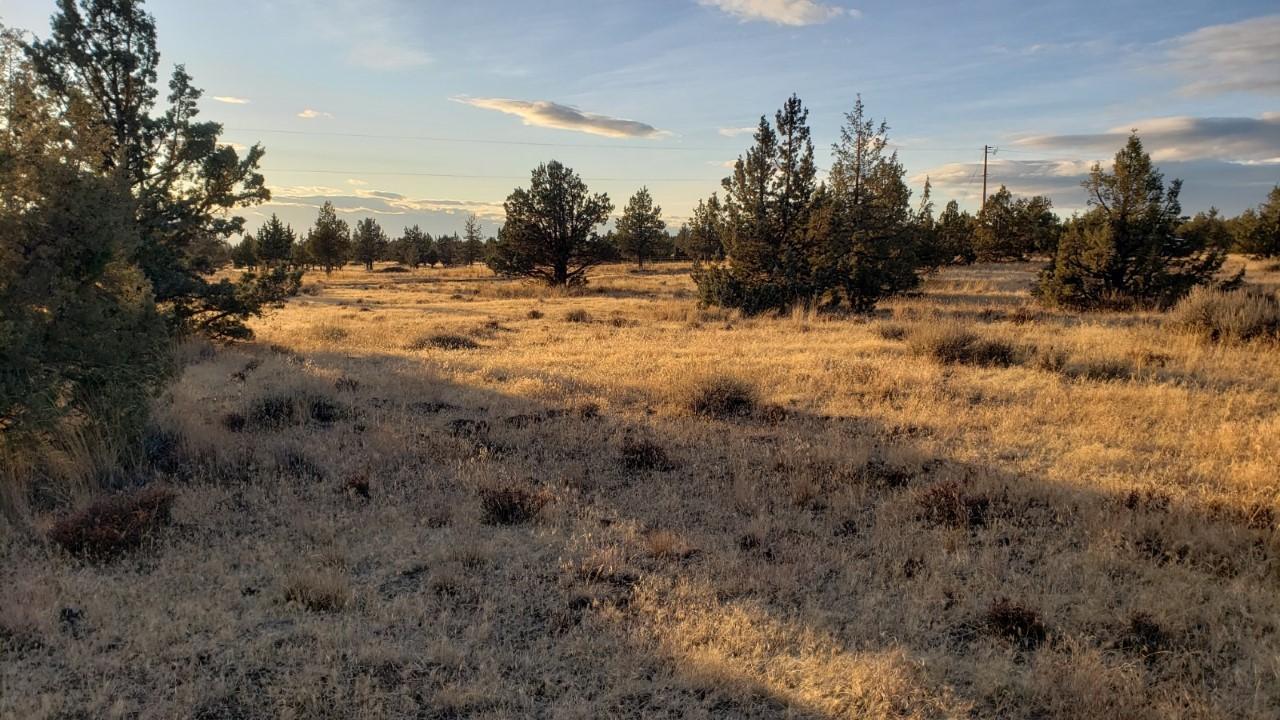 Ochoco Land + Livest - Land