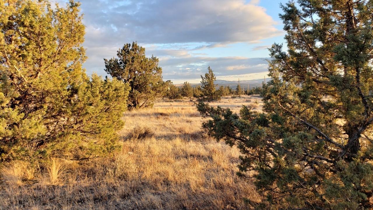 Ochoco Land + Livest - Land