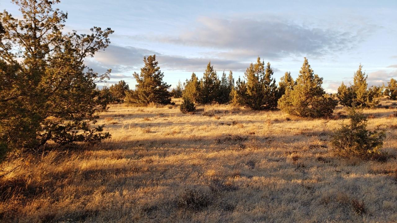 Ochoco Land + Livest - Land