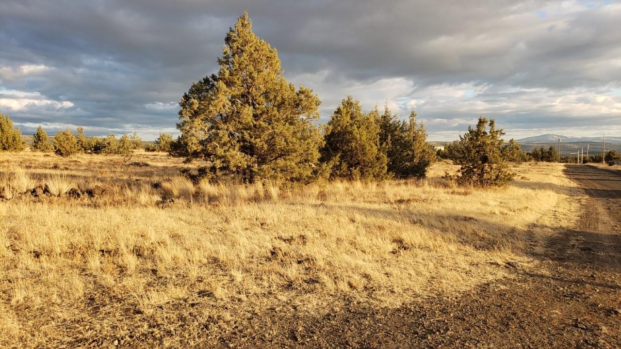 Ochoco Land + Livest - Land