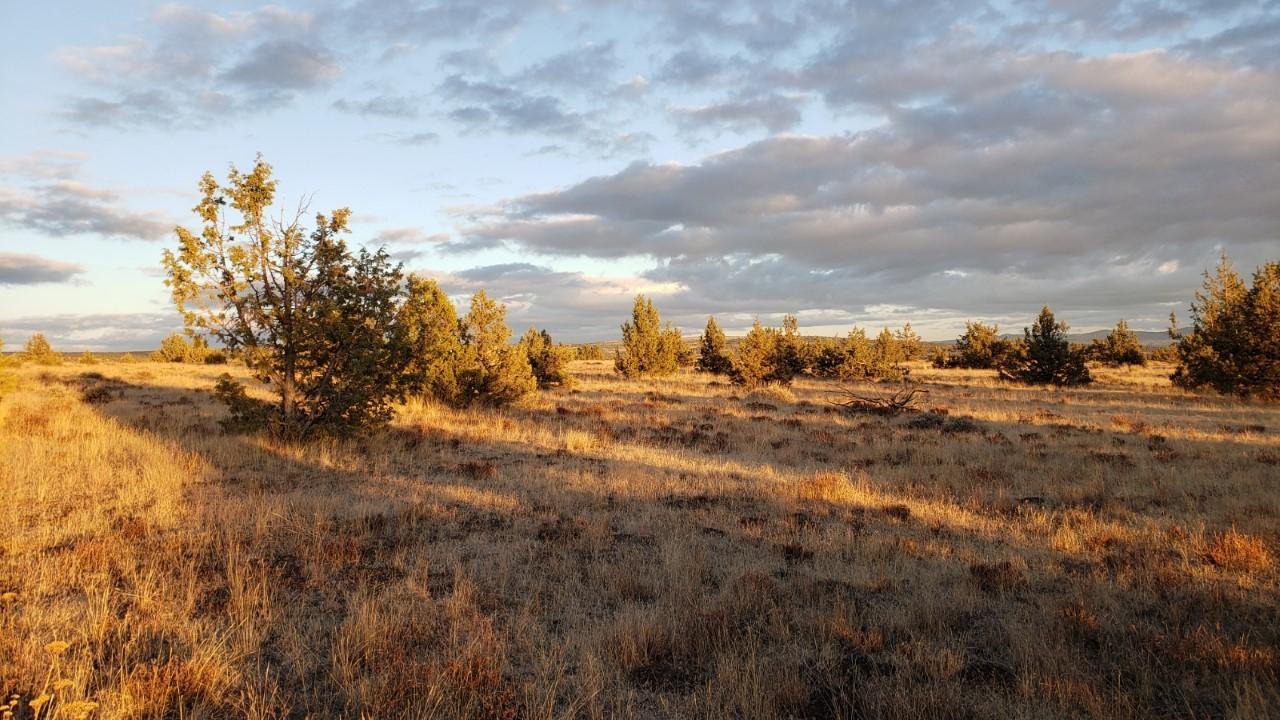 Ochoco Land + Livest - Land