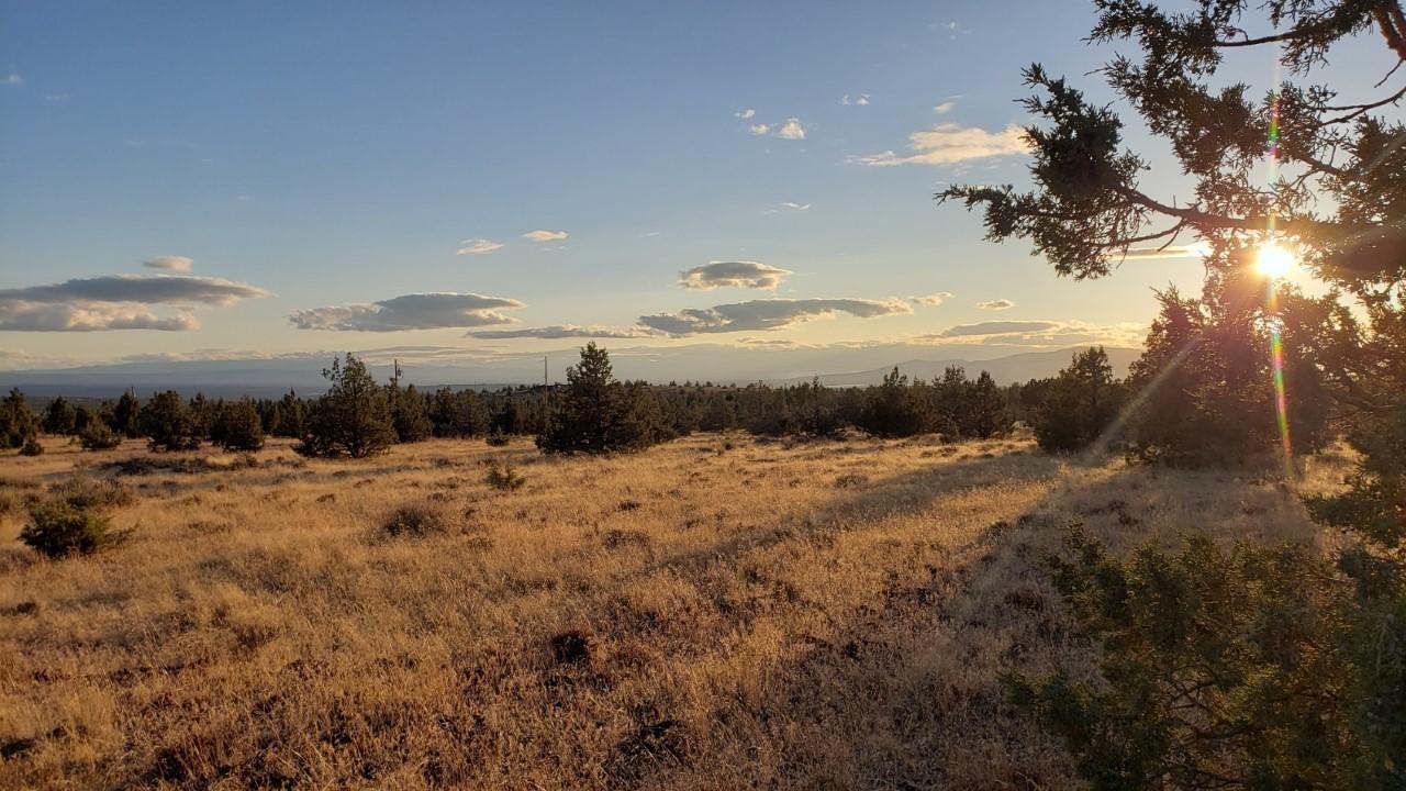 Ochoco Land + Livest - Land