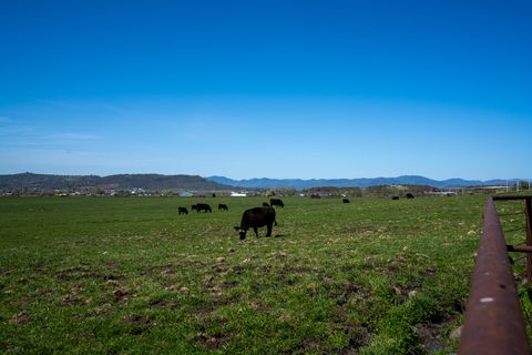 Tiny photo for 1881 Brophy Road, Eagle Point, OR 97524 (MLS # 220207898)