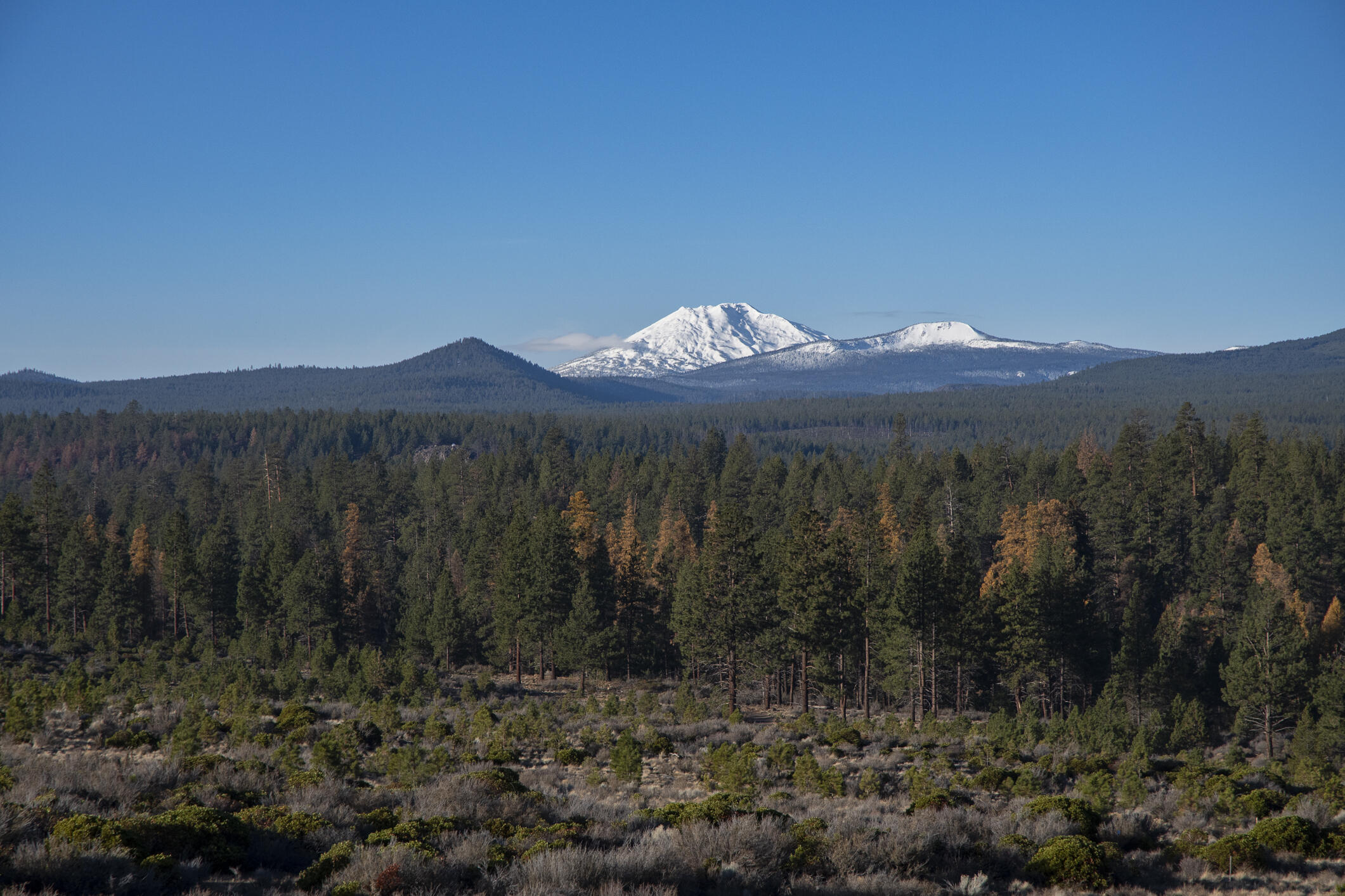 Shevlin Commons - Residential