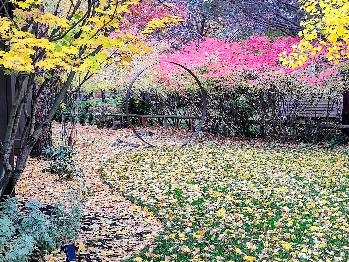 Mtn High - Residential