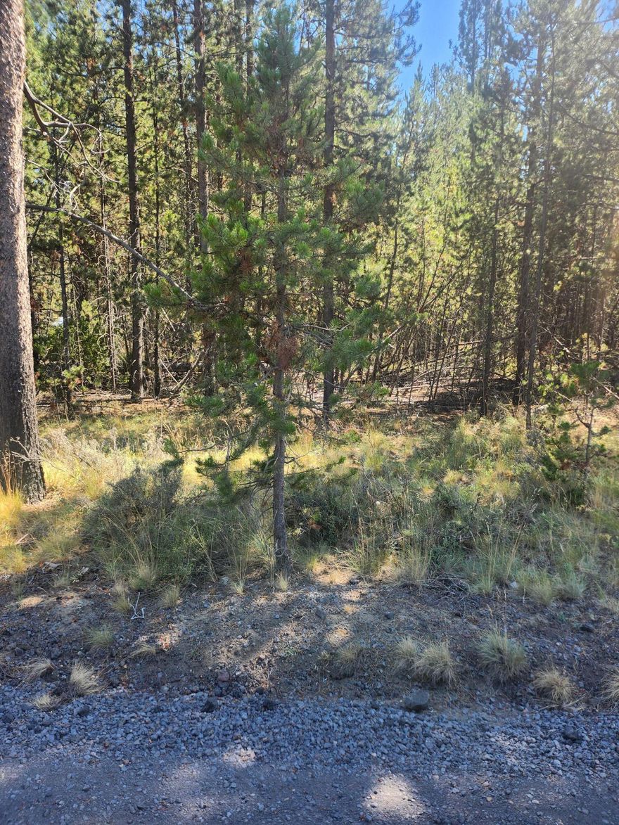 Come build your dream vacation home or year-round residence on a level, well treed, nearly one acre parcel in established neighbored in Deschutes River Recreation area.  This location has easy access to Mt. Bachelor, Sunriver Resort, Cascade Lakes, and all the outdoor activities Central Oregon has to offer. Nearby services include shopping, dining, groceries, library, schools, gas, and more.  Septic Site Evaluation Summary for ATT system reviewed in August of 2024.  Come enjoy the Central Oregon lifestyle, your dream-home awaits.