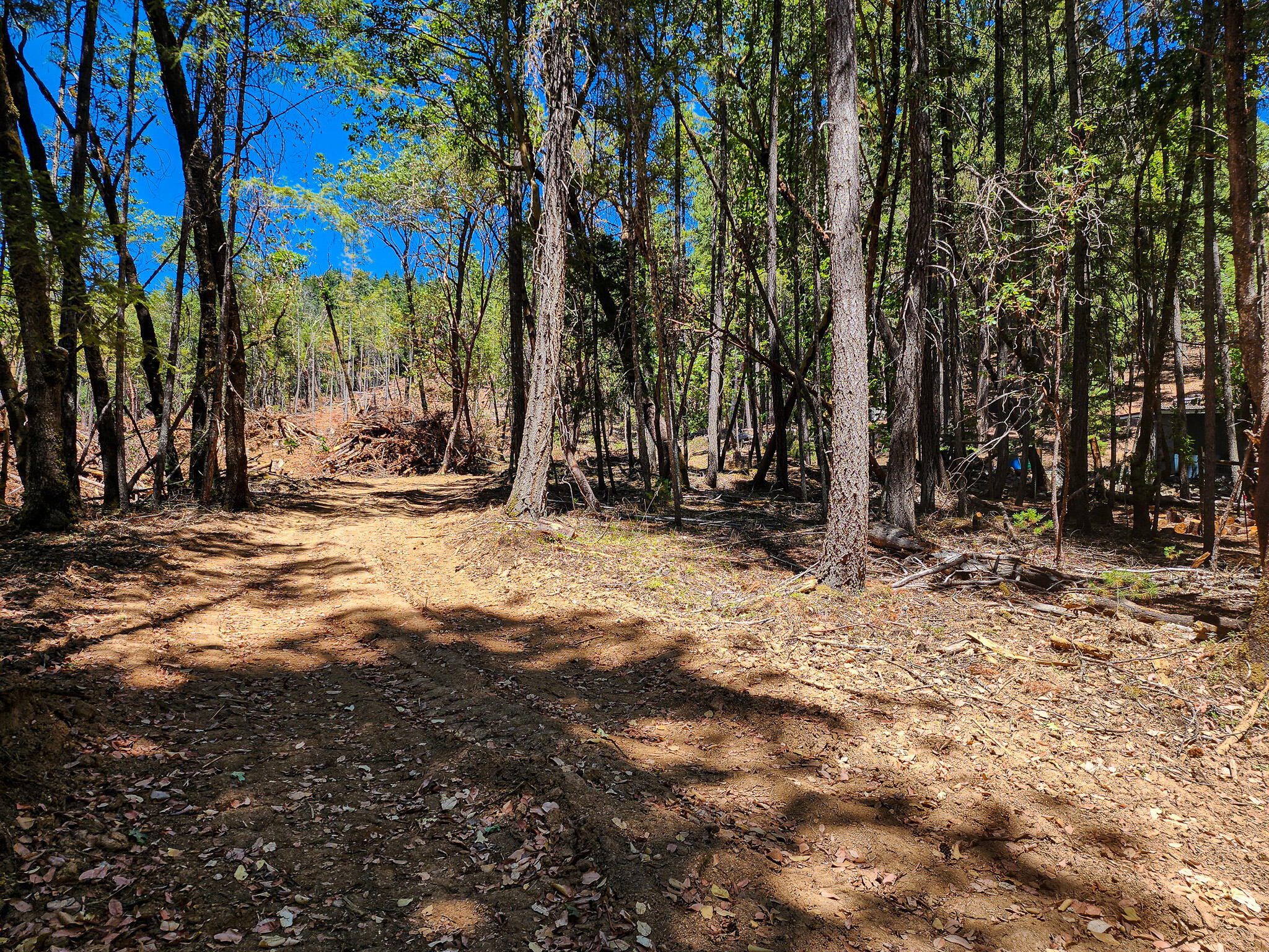 Thornbrook Subdivision - Land