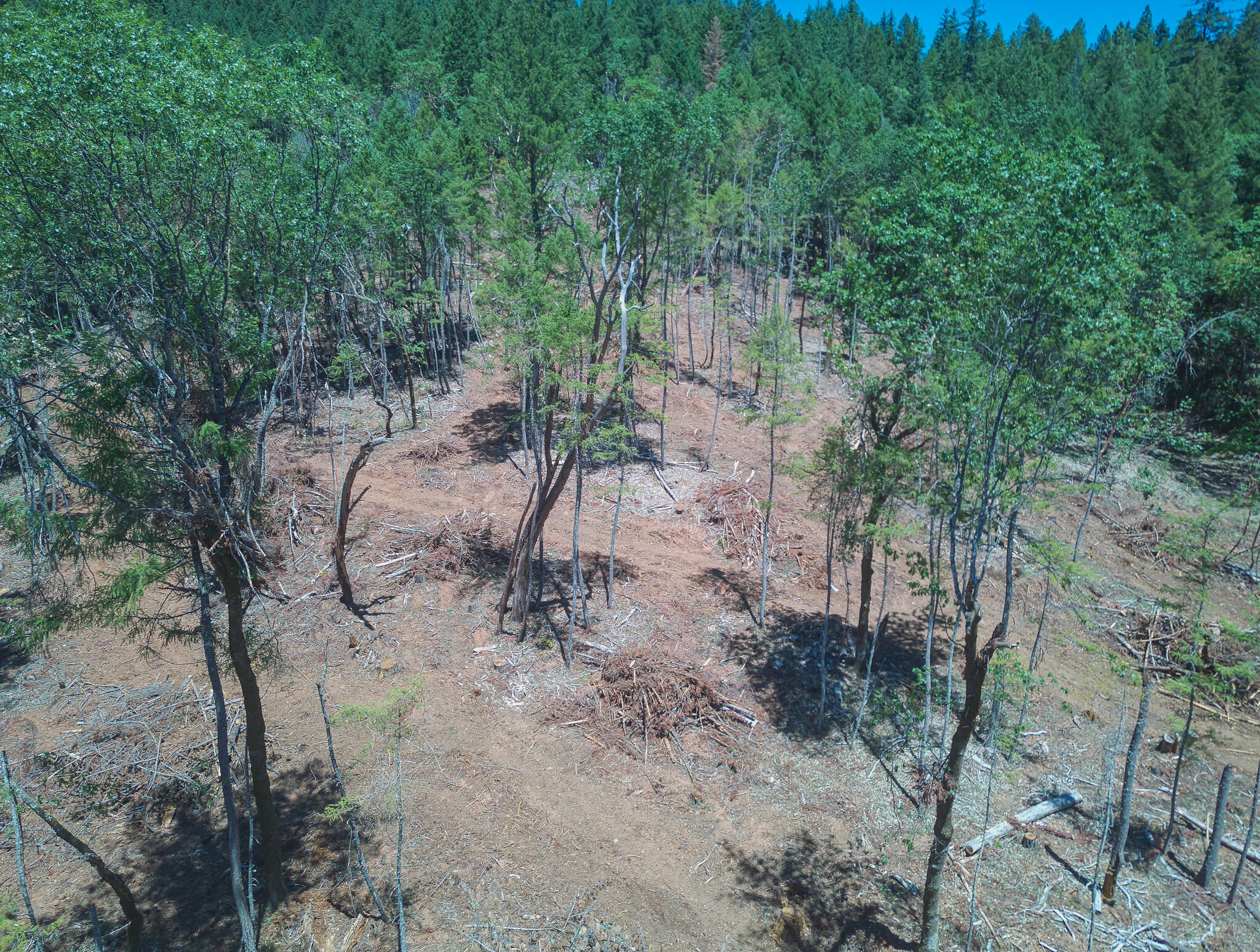 Thornbrook Subdivision - Land