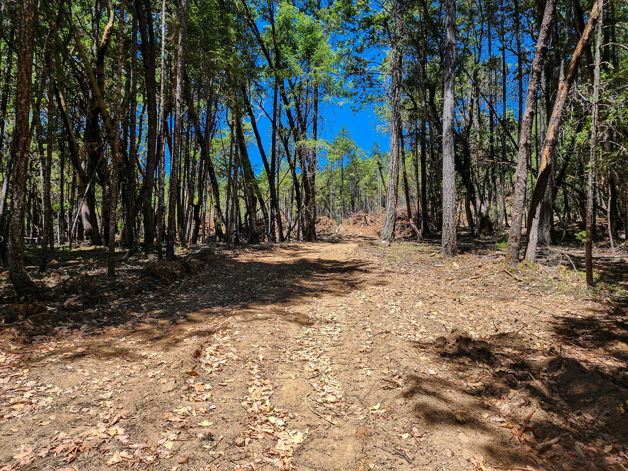 Thornbrook Subdivision - Land