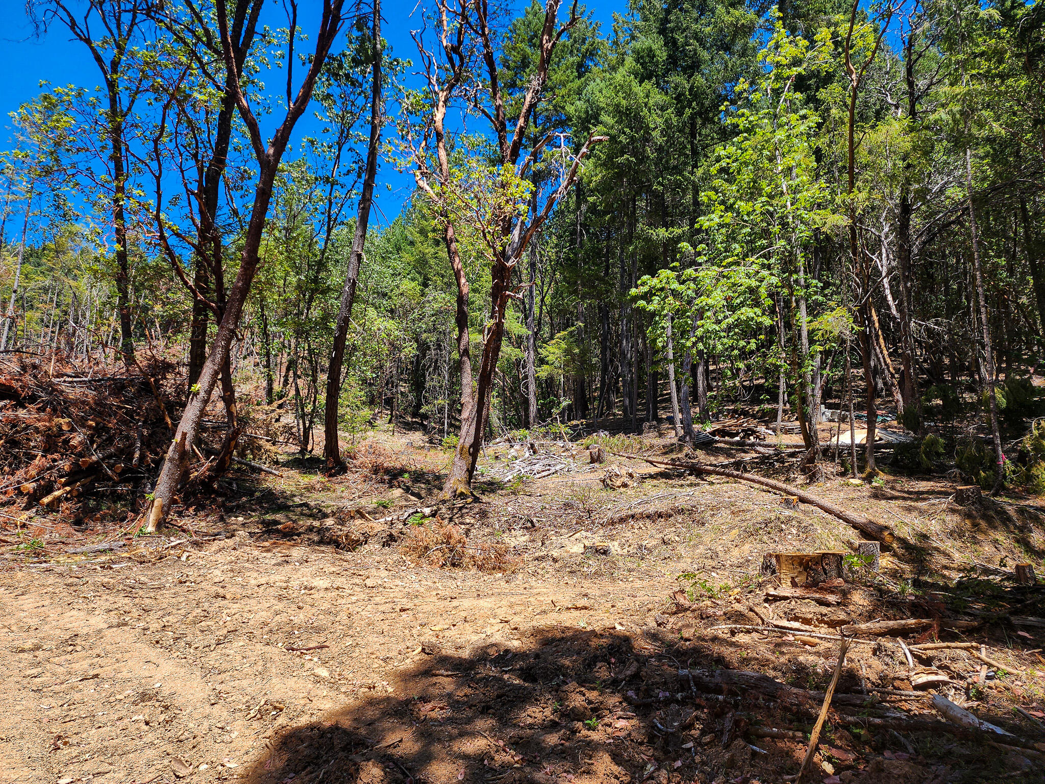 Thornbrook Subdivision - Land