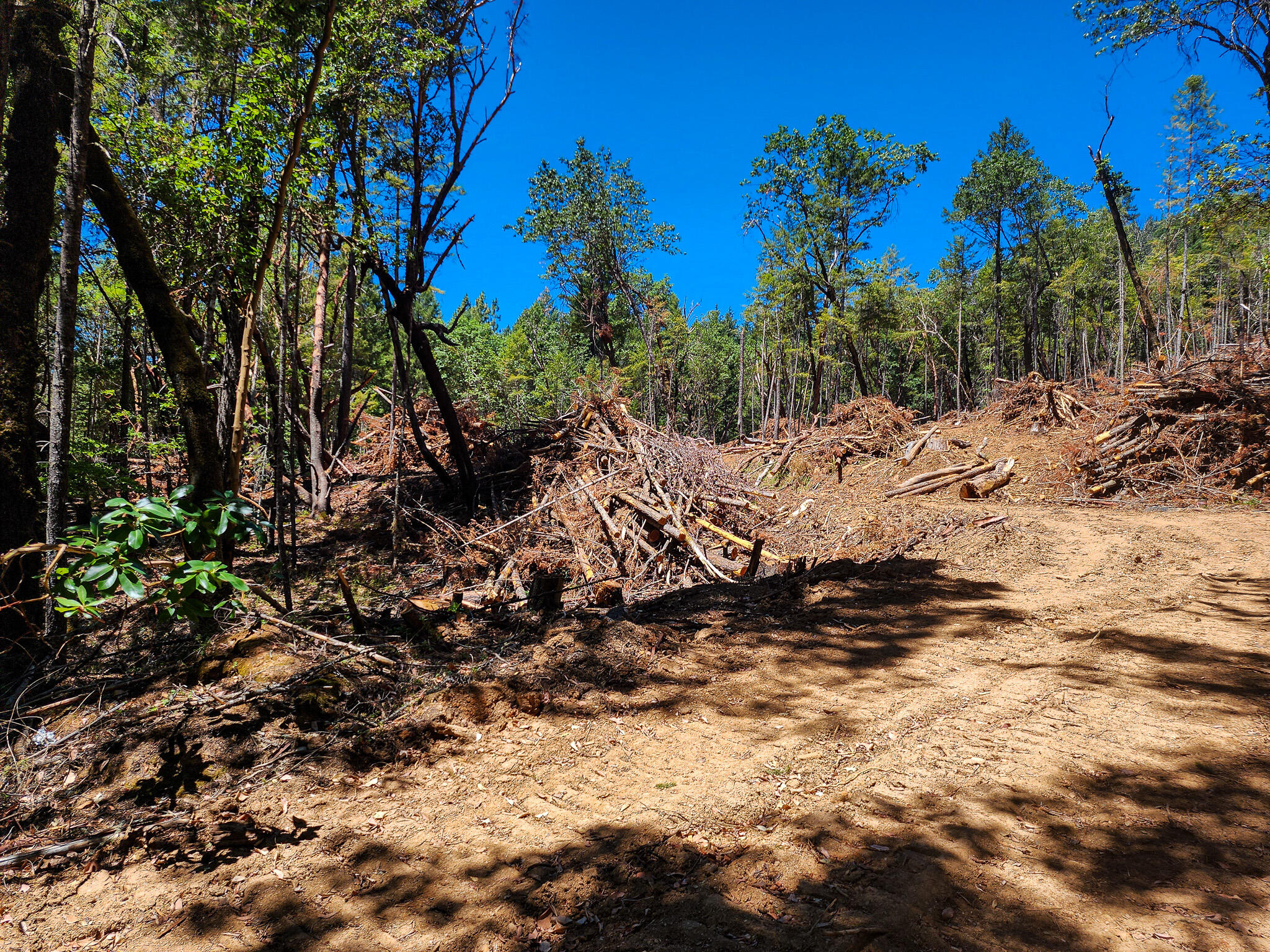 Thornbrook Subdivision - Land