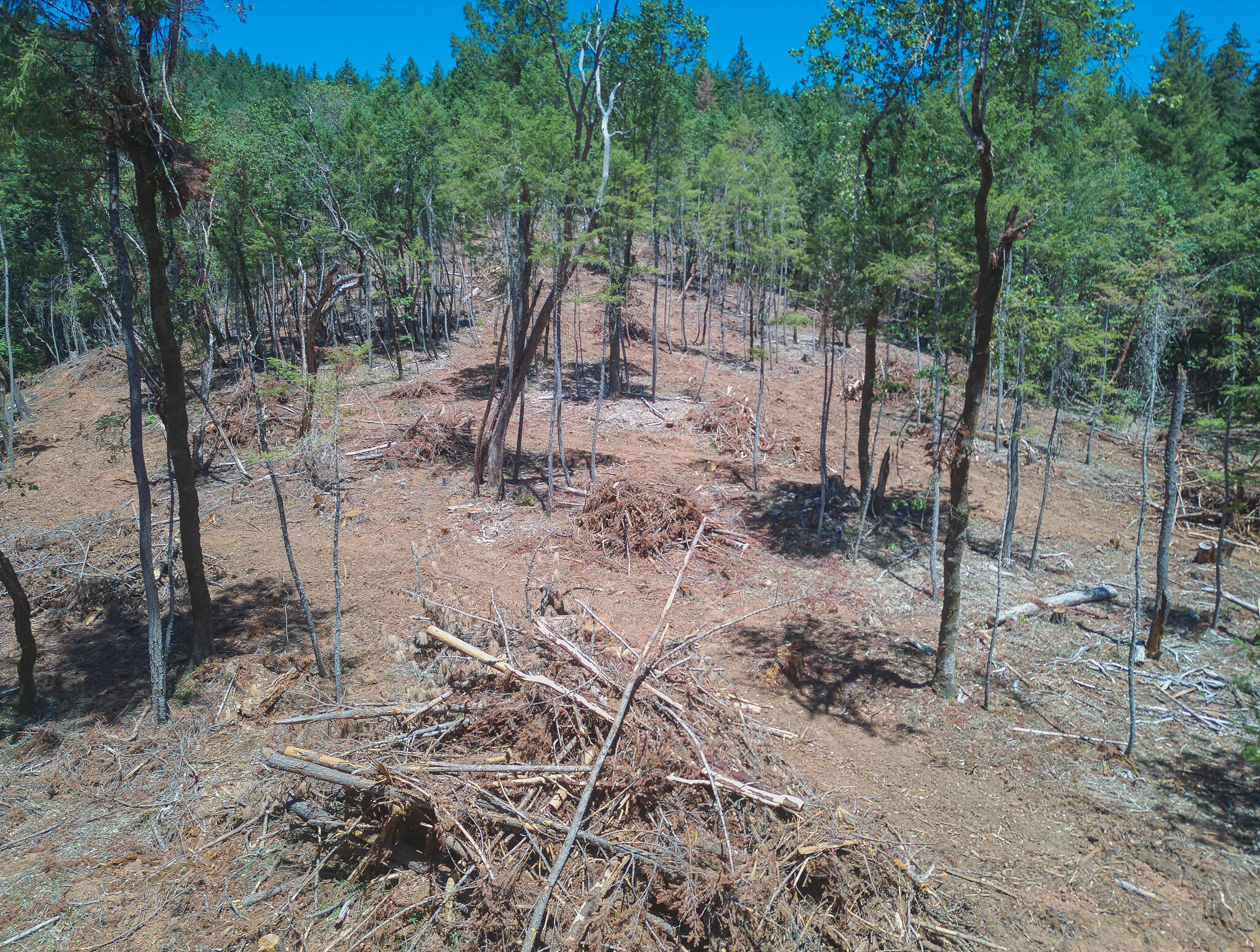 Thornbrook Subdivision - Land