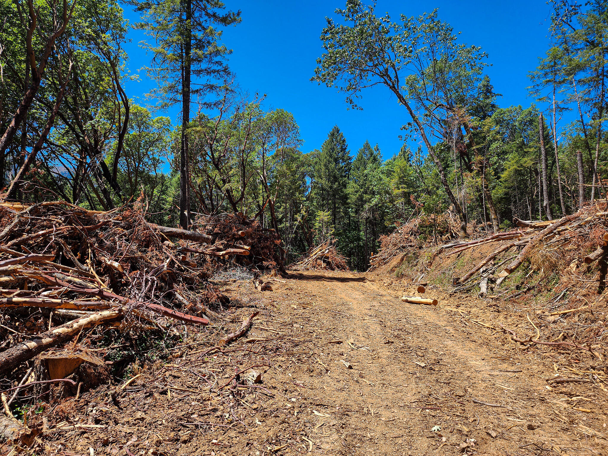 Thornbrook Subdivision - Land