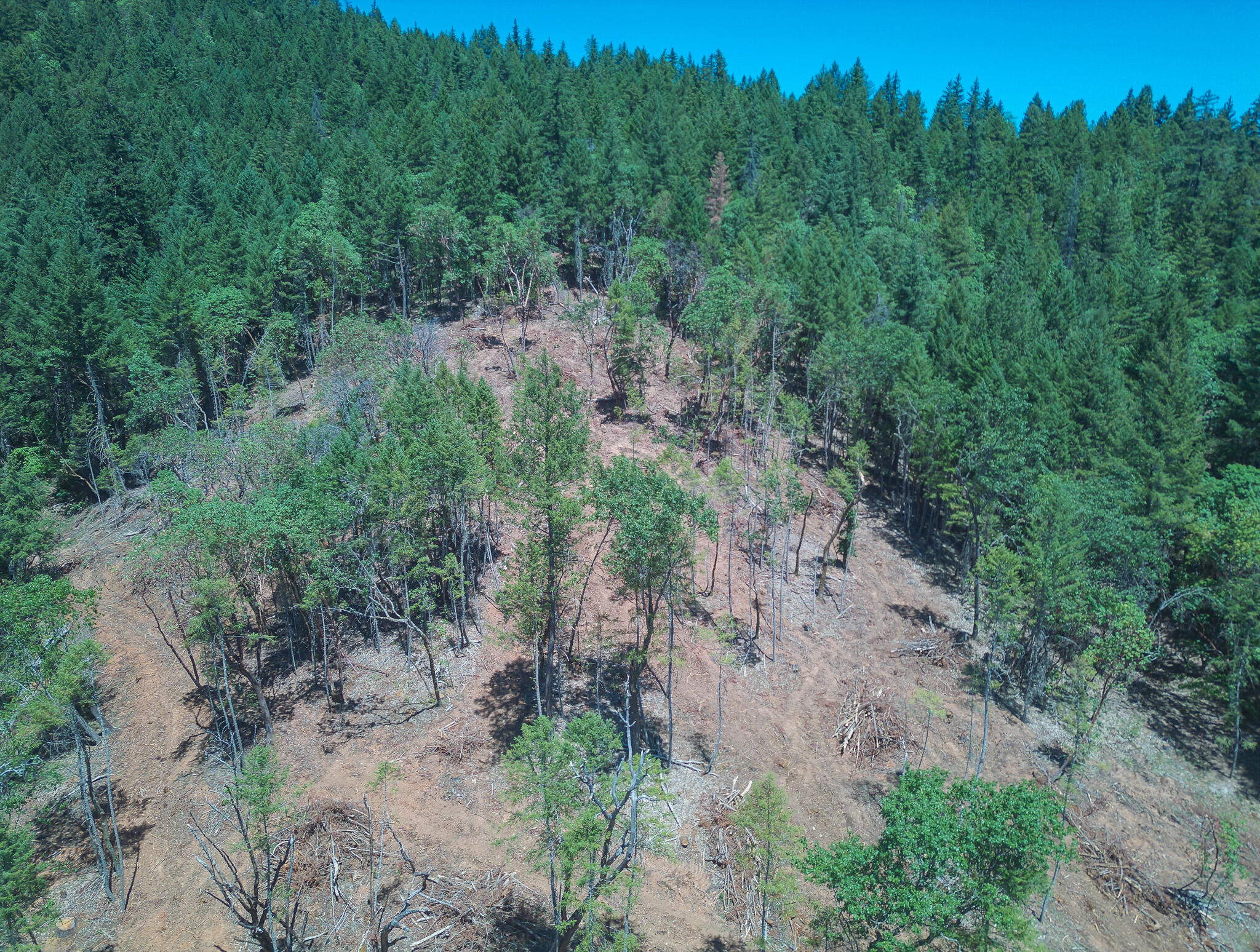 Thornbrook Subdivision - Land