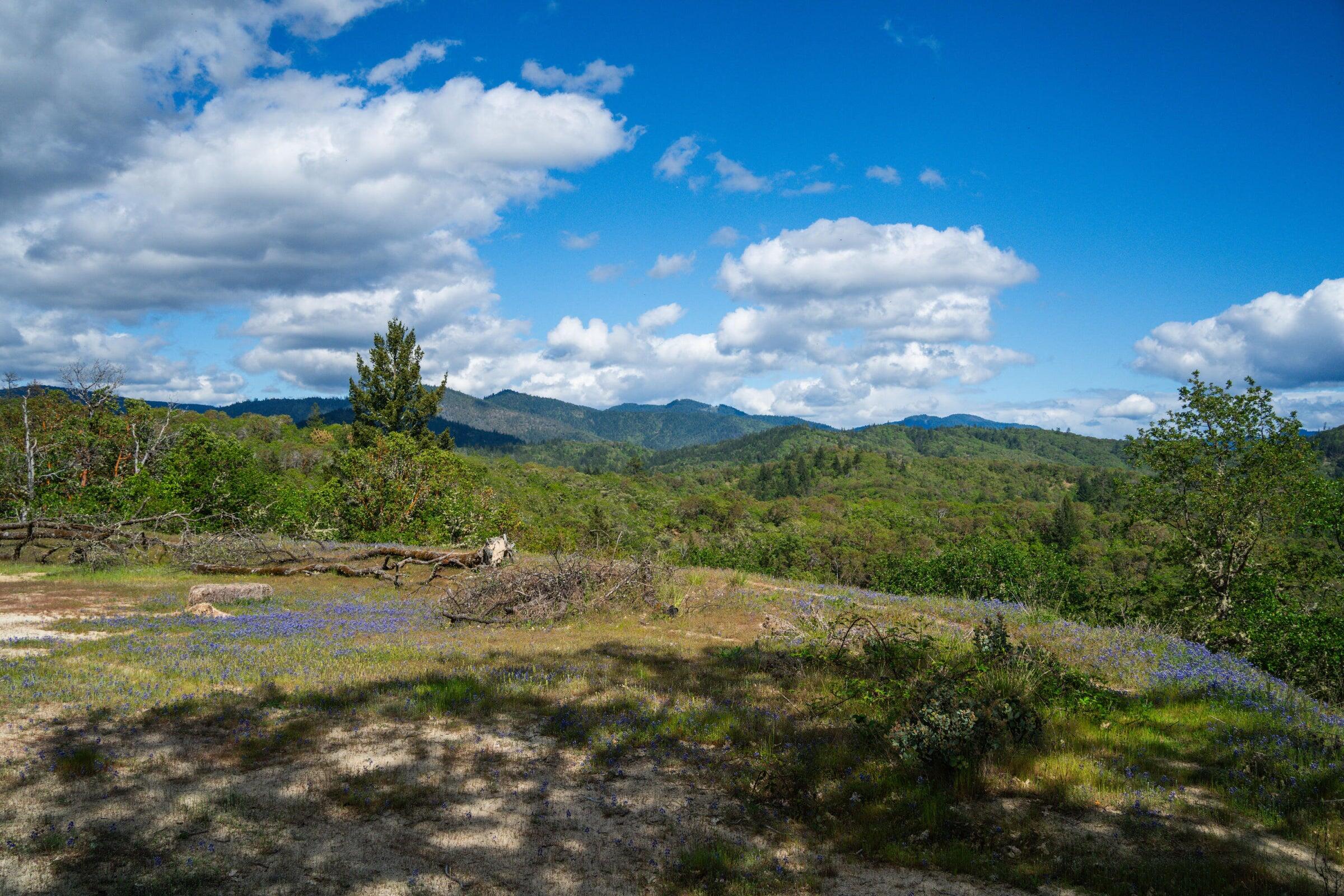 High Ridge Terrace Subdivision - Land