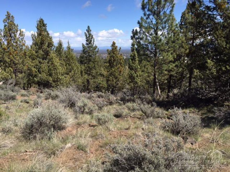 Beautiful .86 acre homesite on Awbrey Butte offers views to the east and of the city lights. Close to golf and walking trails, tennis courts and park. Perfect for building your dream home and priced to sell.