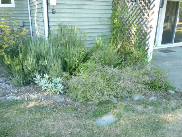 Latigo Ranch Subdivision - Residential