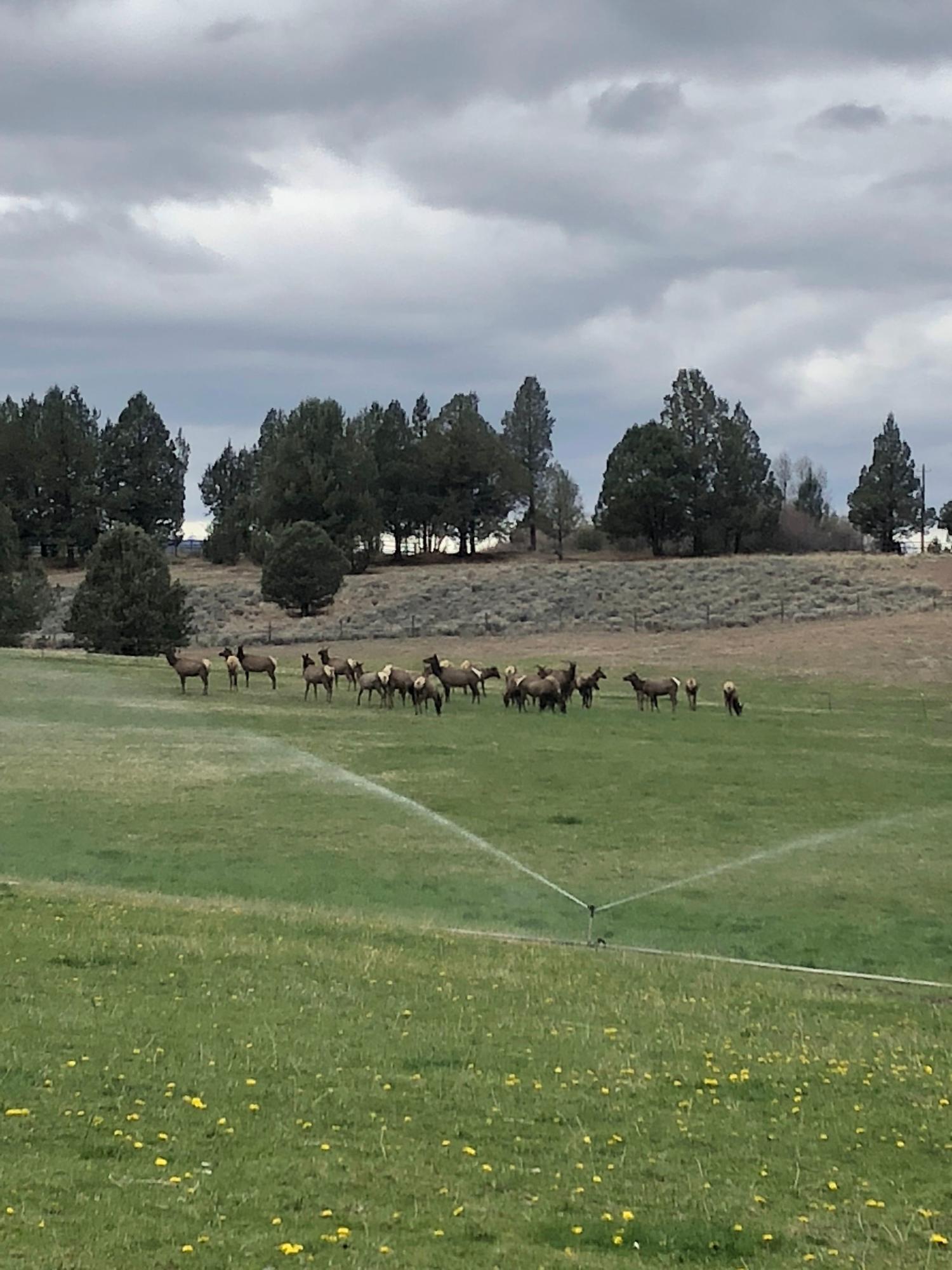 High Mowing Farms - Residential