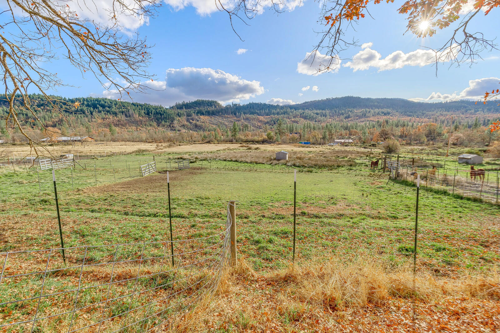 N/A - Residential