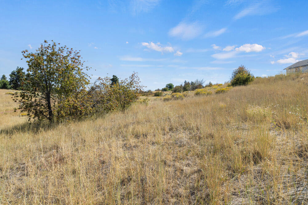 Oregon Shores -Unit 2 - Land