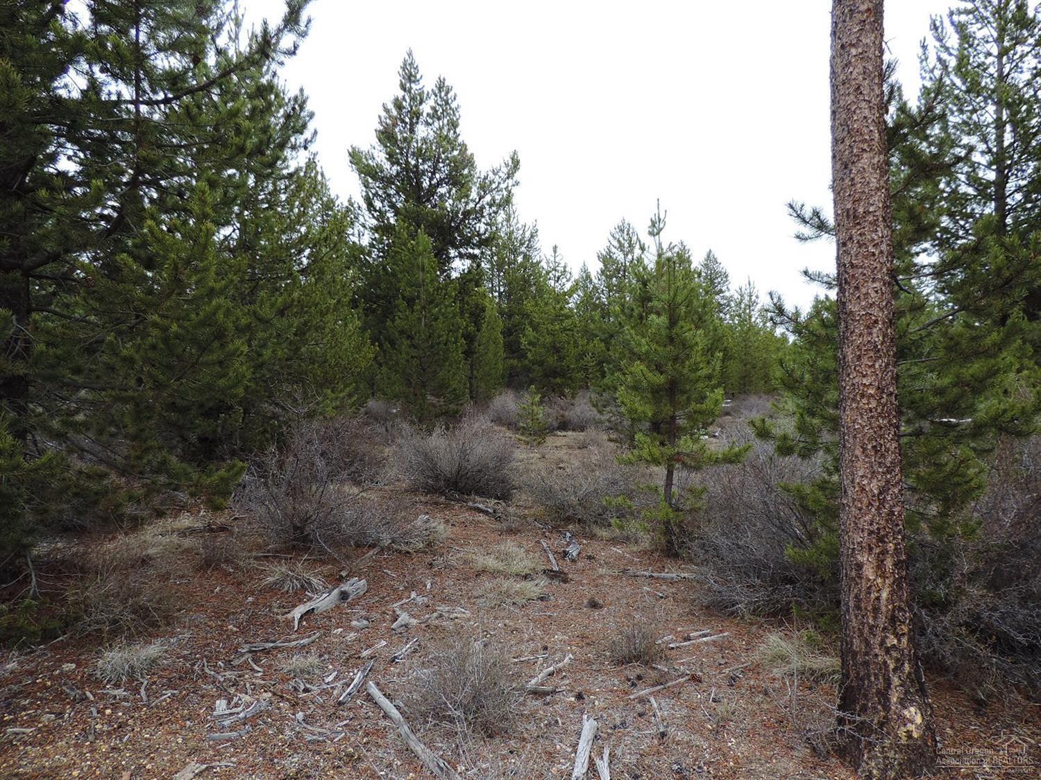 Whispering Meadows - Land