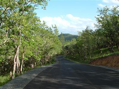 Vistawood Ranch - Land