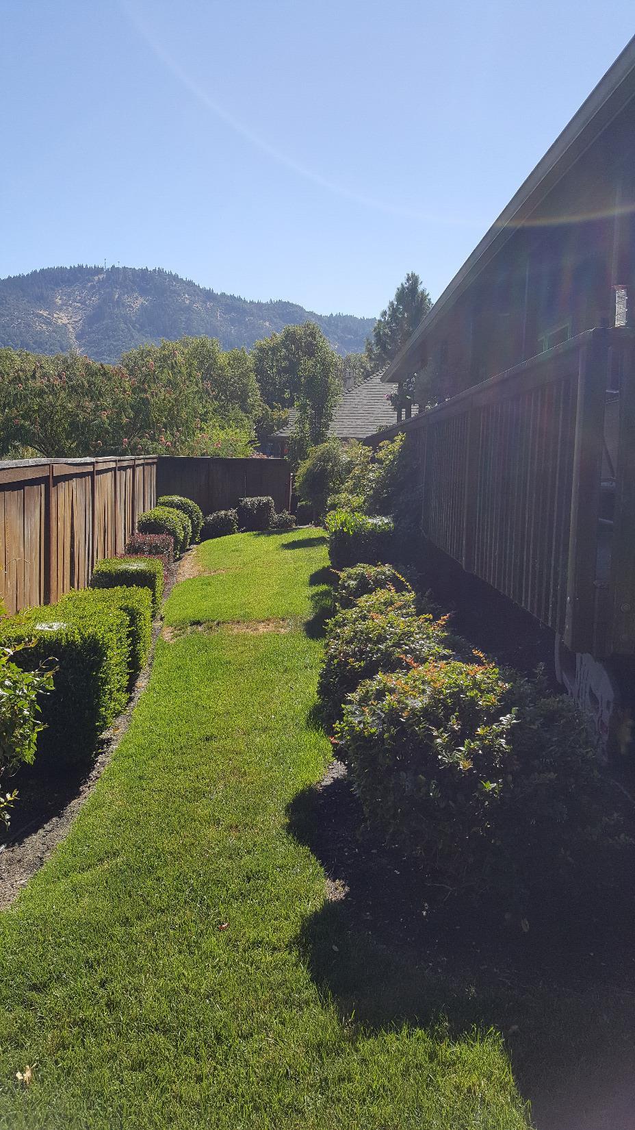 Meadow Wood - Residential