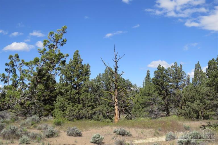 Juniper Acres - Land