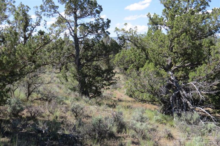 Juniper Acres - Land