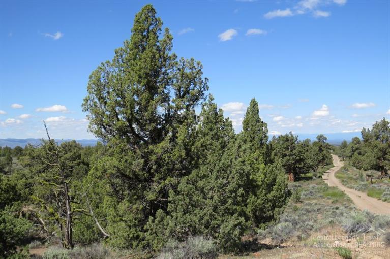 Juniper Acres - Land