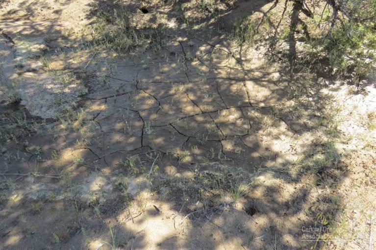 Juniper Acres - Land