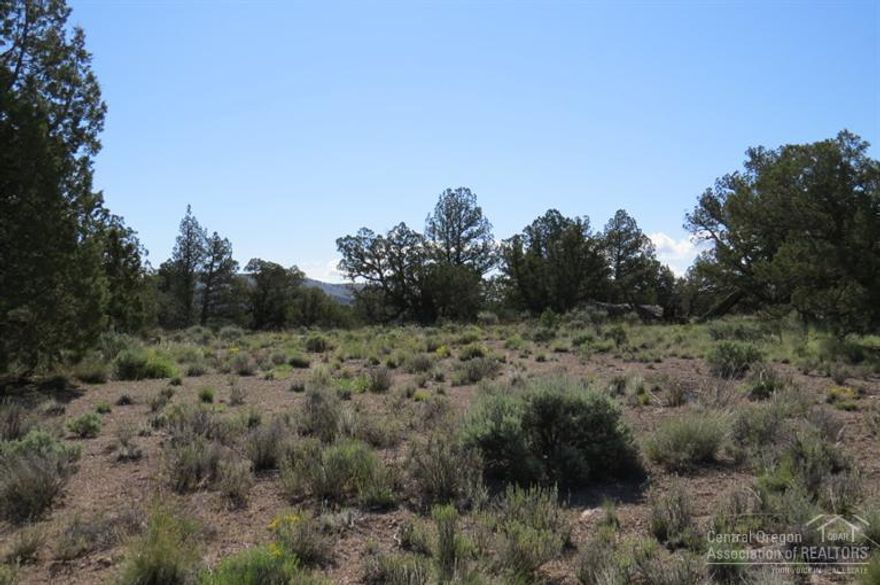 Nice secluded 5 & 10 acre lots being sold together. these are separate tax lots adjacent to each other, with lots of Juniper tree's, an abundance of animals, with incredible star gazing. This would be a wonderful recreational getaway. This property is off grid, and a great buy for 15 acres!