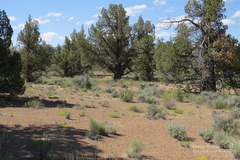 Juniper Acres - Land