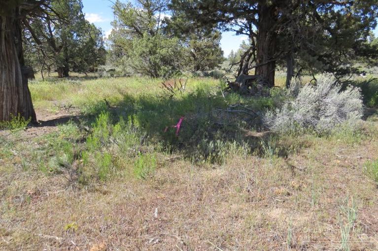 Juniper Acres - Land