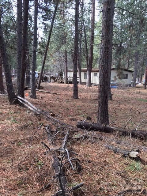 Deschutes RiverWoods - Land