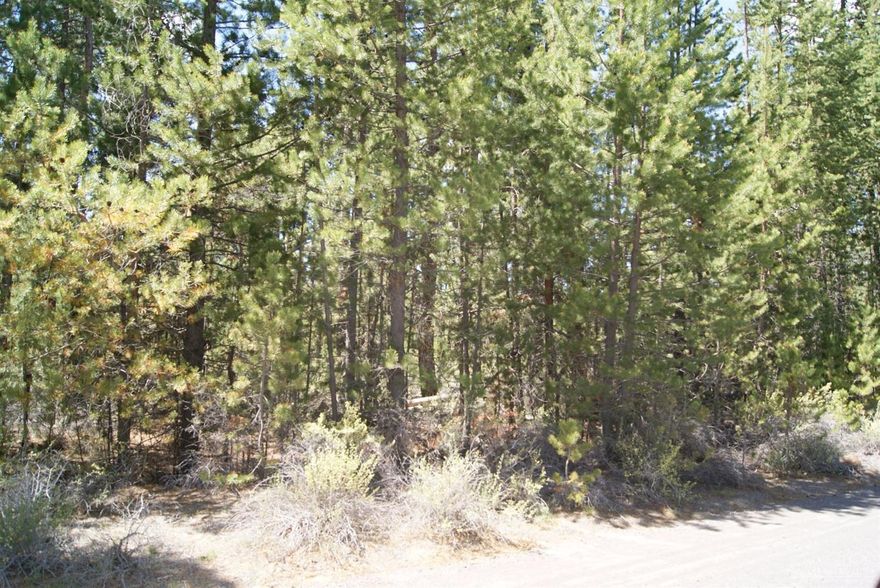 Utilities are at the street. No septic feasability has been done.