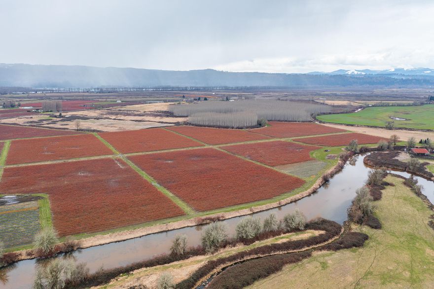 163-acre blueberry farm with good production w/ 37 acres of developable land. This farm is situated on a former peat bog, featuring exceptionally high organic matter content, which can significantly reduce top-dressing and input costs. The microclimate benefits from the moderating influence of the Columbia River's thermal mass and daily cooling breezes from the Pacific allowing the farm to ripen 10 to 14 days later than the Willamette Valley. Turnkey operation comes with the farm equipment (Oxbow & Littau)