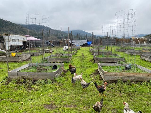 Champlin Subdivision - Residential