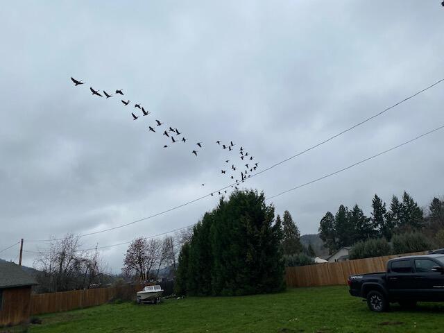 Champlin Subdivision - Residential