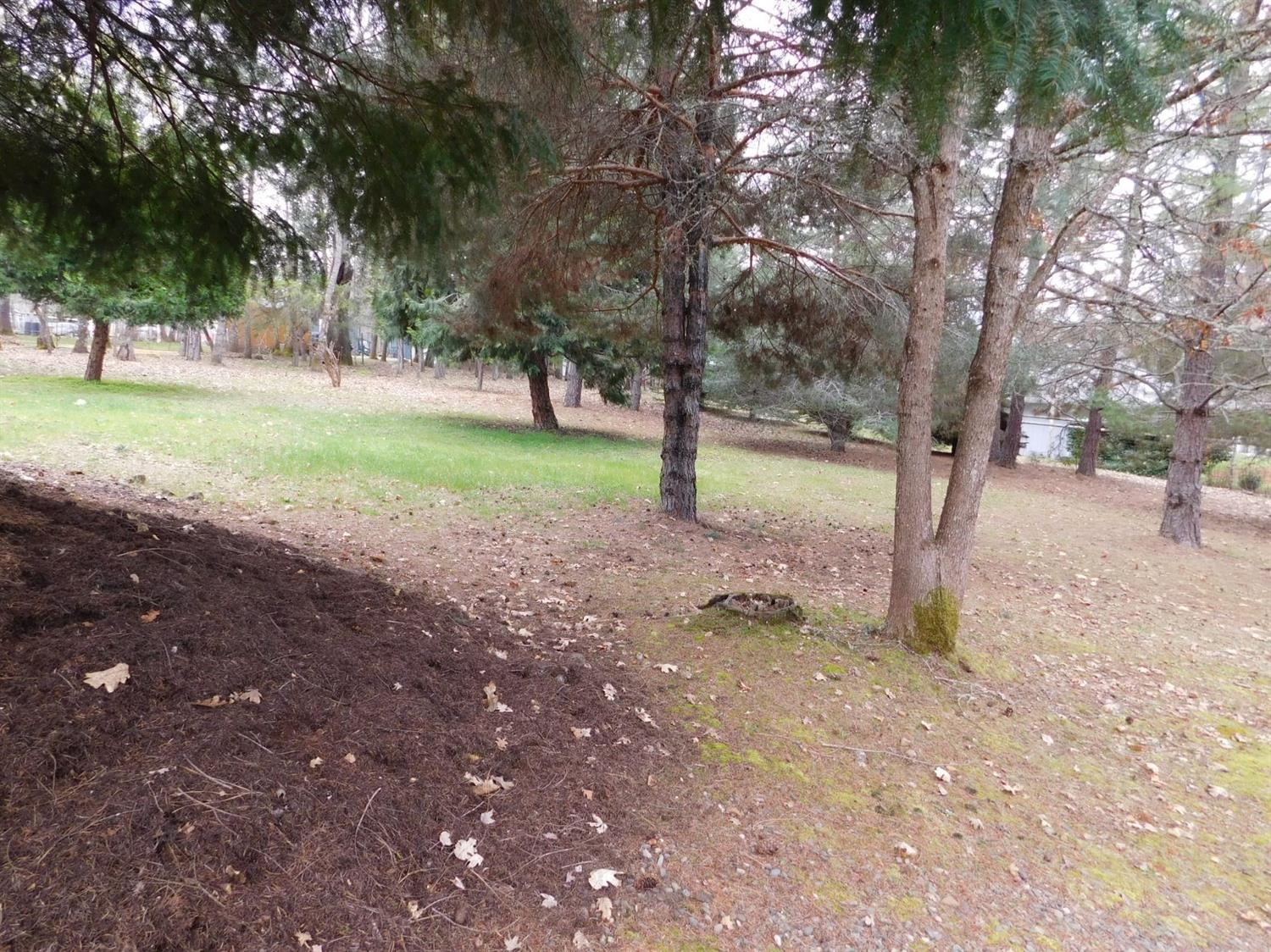 Mountain Pine Subdivision - Residential